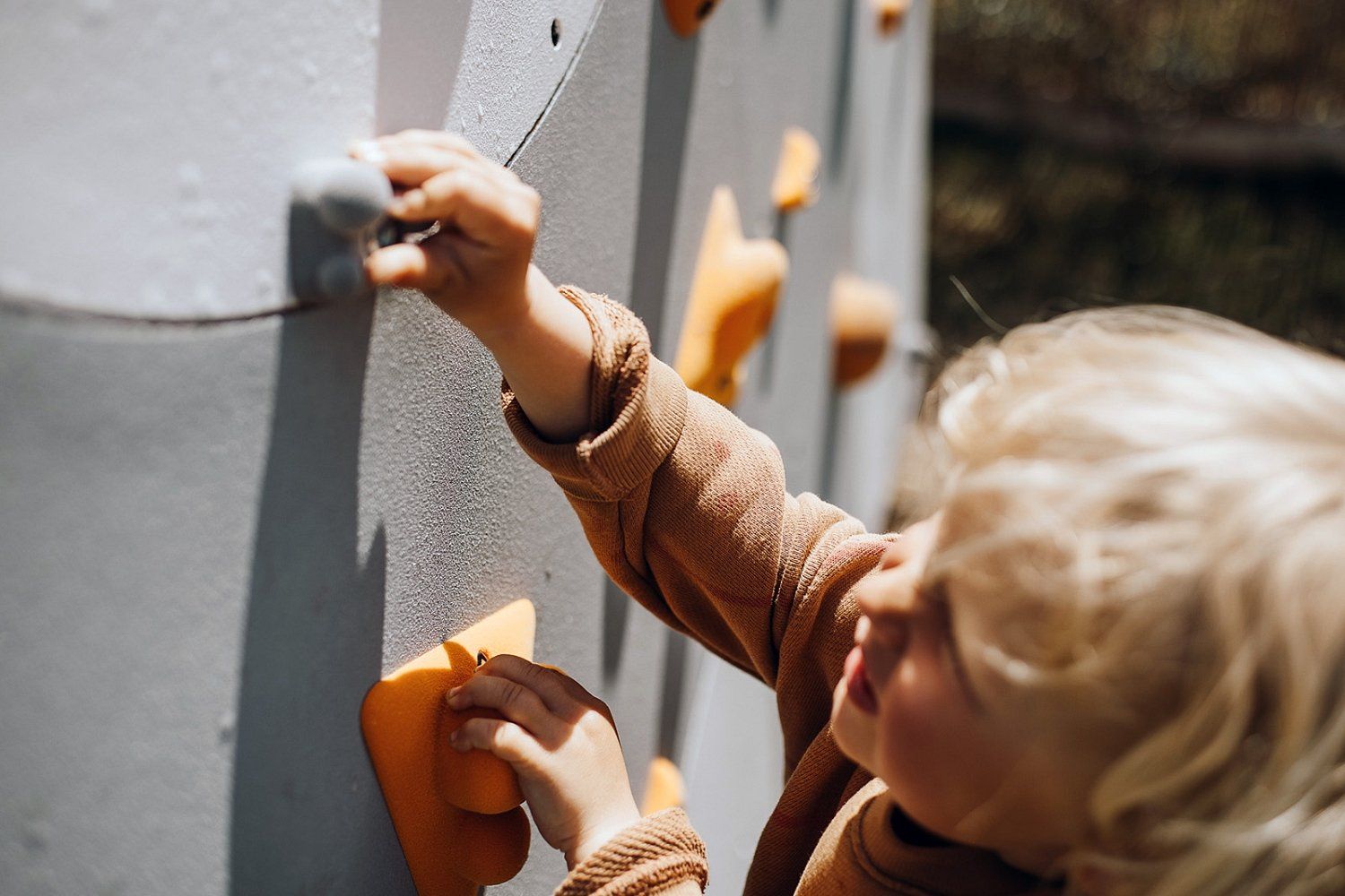 Lauko laipiojimo sienelė Blockids10